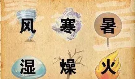 What are the Six Excesses of Evil in Traditional Chinese Medicine?