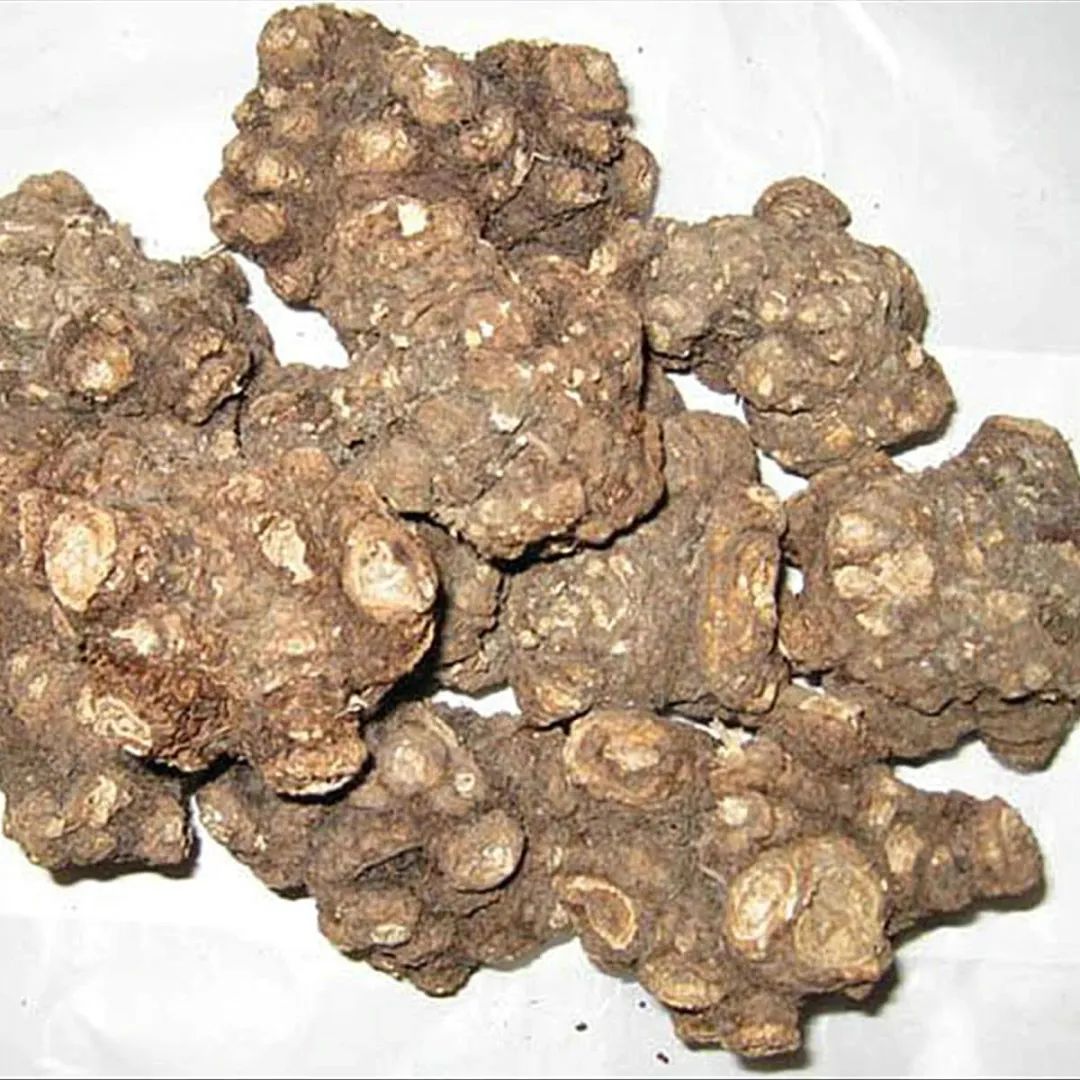 Chuan Xiong (Ligusticum Chuanxiong) - A Comprehensive Overview