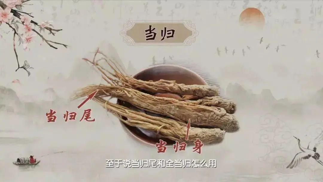 Discussing Angelica Sinensis and the Return Point