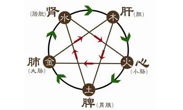 The Application of the Five Elements Theory in Clinical Liver Diseases