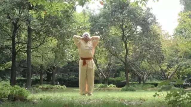 Simple and Easy to Learn! Illustrated Guide to the Twelve Movements of the Ancient Yi Jin Jing (Includes Video)