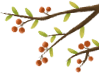 Understanding Chinese Herbal Medicine