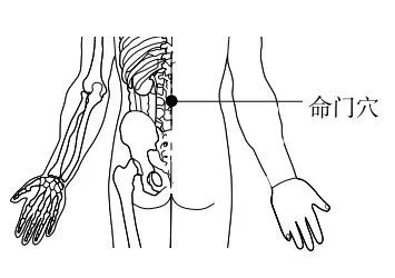 Identification of TCM Constitution - Harmonious Constitution