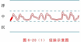 Illustrated Guide to 28 Dynamic Pulse Diagnoses in Traditional Chinese Medicine