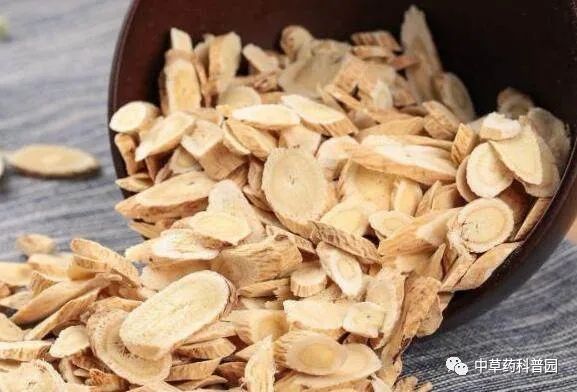 Astragalus: A Comprehensive Guide