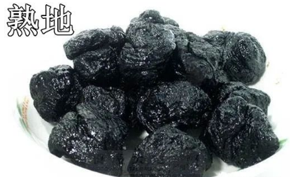 Daily Learning of Chinese Herbs - Shú Dì Huáng (Rehmannia Glutinosa)