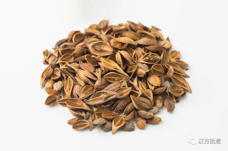 The Efficacy and Functions of Lian Qiao (Forsythia Suspensa) in Traditional Chinese Medicine