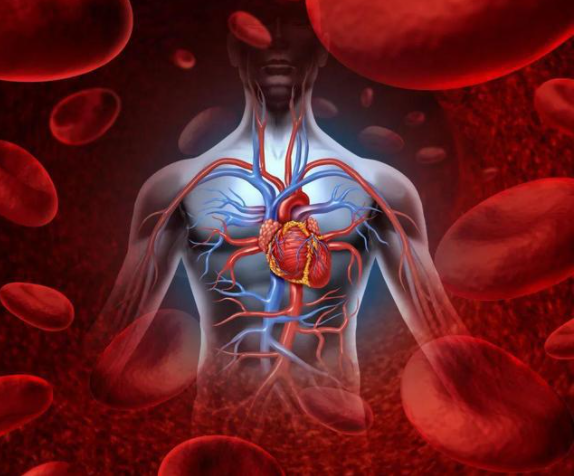 What is Blood Stasis Syndrome? Symptoms and Risks