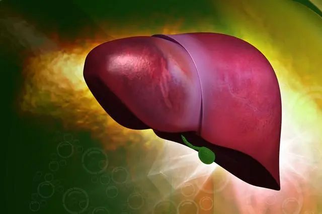 What Causes Liver Fire and Liver Qi Stagnation? Here Are 3 Key Reasons and 4 Habits to Nourish the Liver