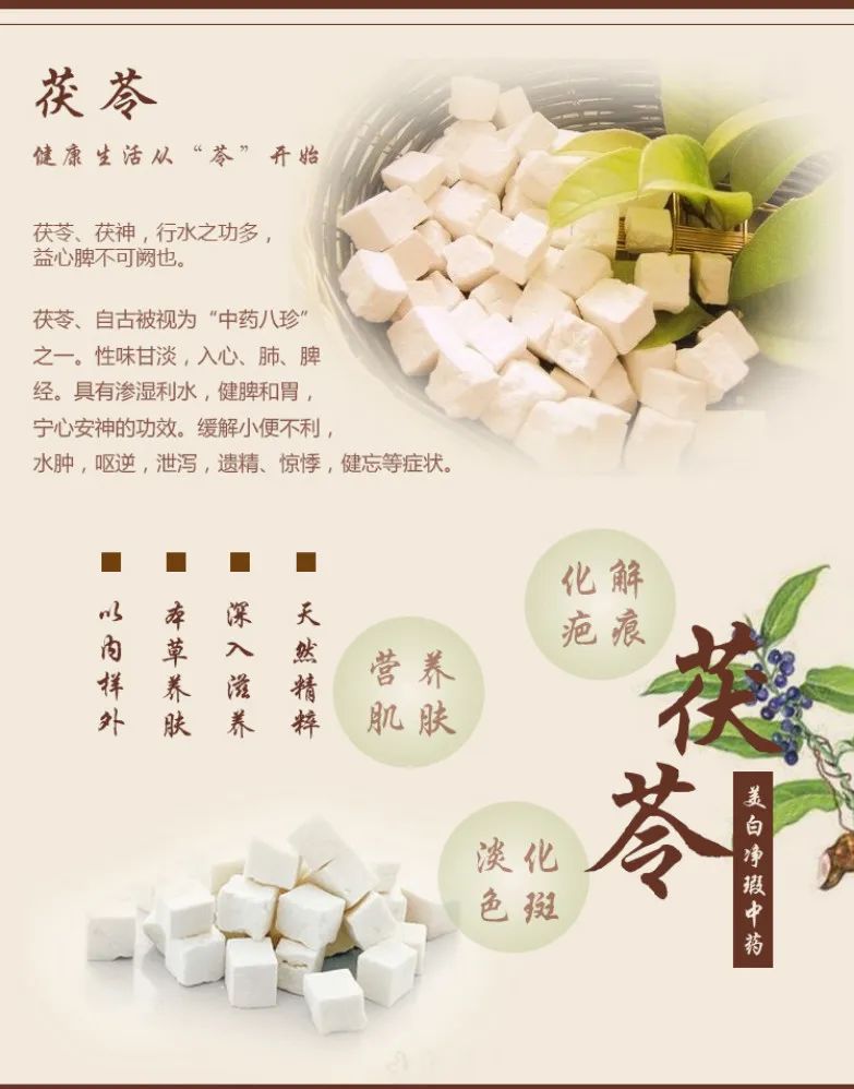 The Efficacy and Indications of Poria (Fu Ling) - Contraindications and Side Effects of Poria - What Not to Eat with Poria