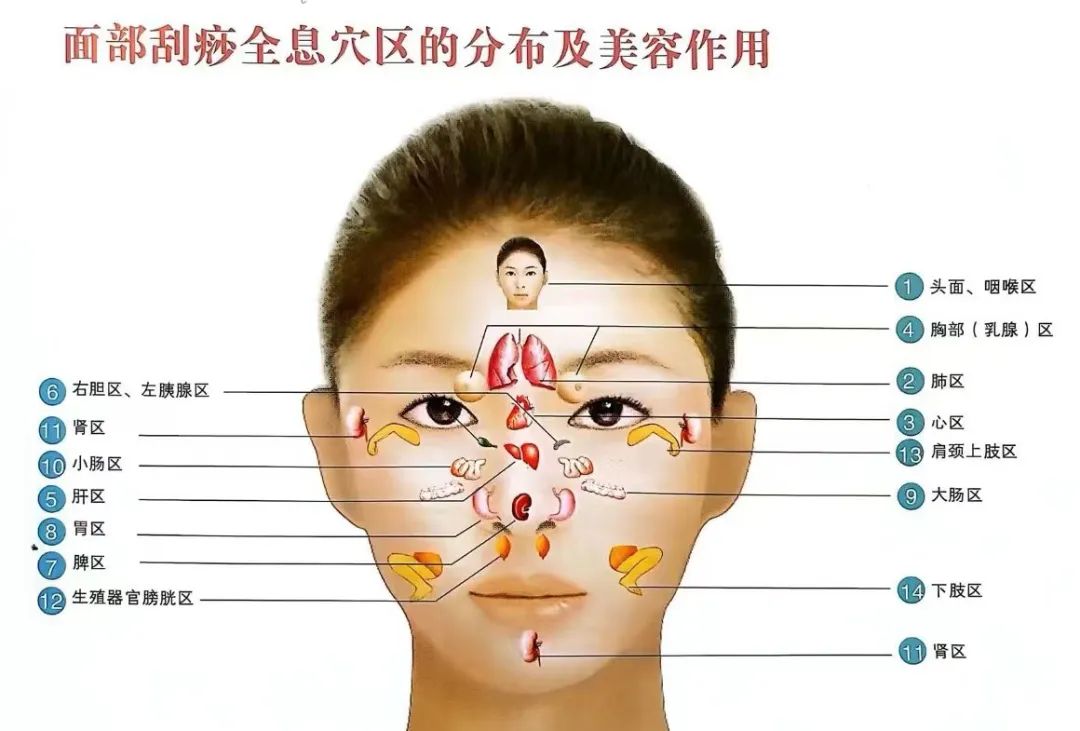 Traditional Health Preservation - Jade Stone Gua Sha Detox Therapy