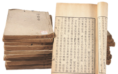 A Single Tonic Herb - Astragalus (Huang Qi)