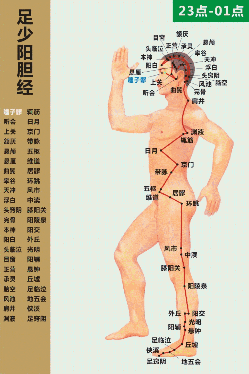Understanding the Essentials of the Huangdi Neijing in 10 Minutes (Save for Study)