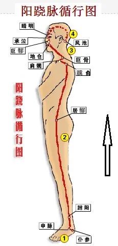 The Eight Extraordinary Meridians: A Major Remedy for Comprehensive Healing, Including Diagrams!