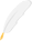 Benefits and Contraindications of Moxibustion