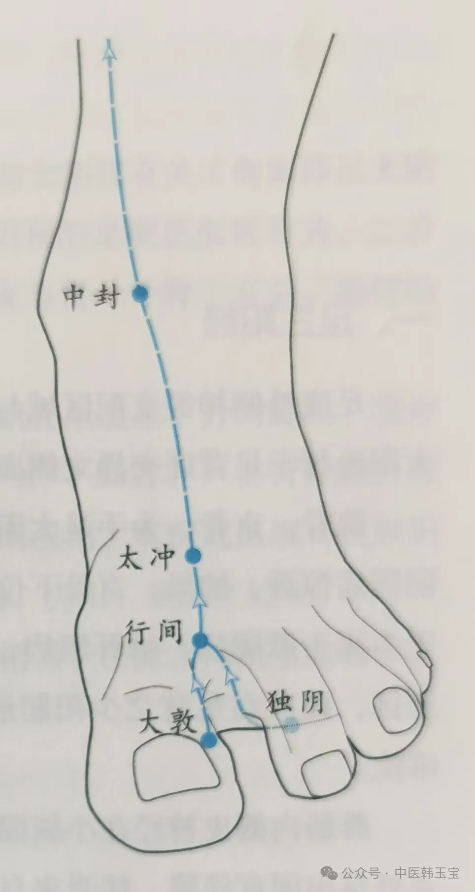 Meridian Studies I: Wu Men Meridian - Jue Yin Meridian