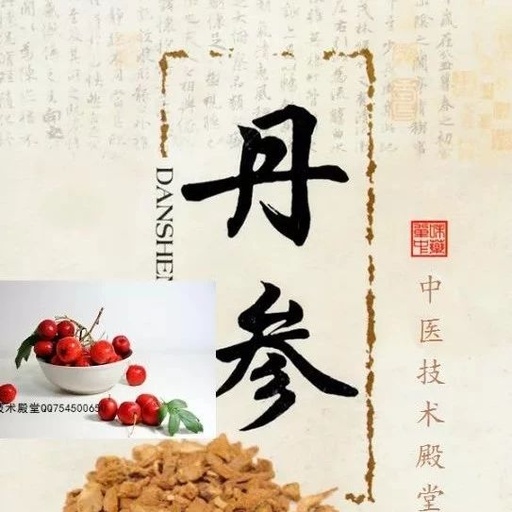 Dan Shen and Hawthorn Powder: A Preventive Remedy for Cardiovascular Health