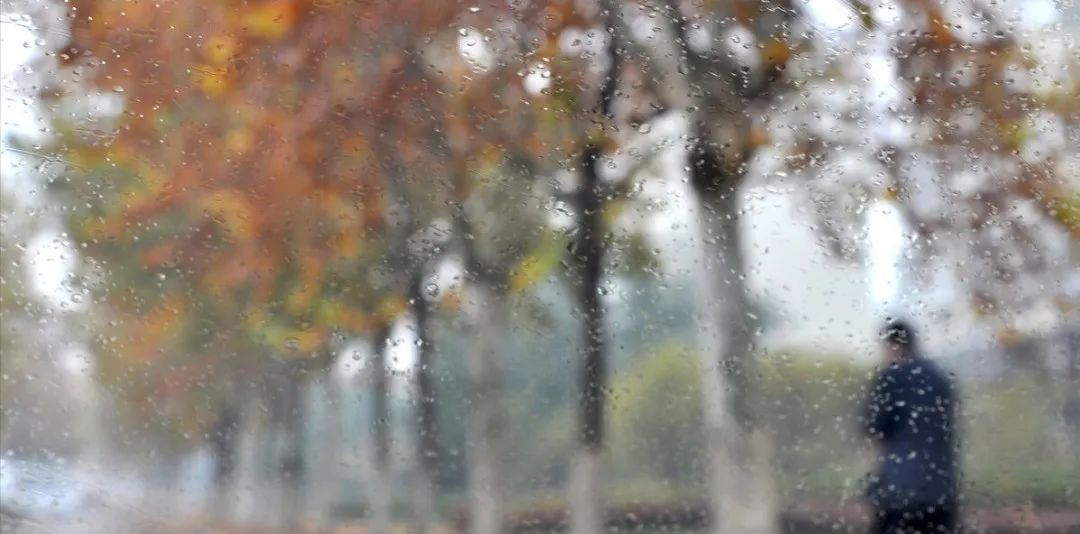 Don't Fear Excess Dampness in the Body: TCM Summarizes 5 Major Methods to Eliminate Dampness for a Lighter You