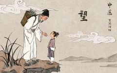 Understanding the Four Diagnostic Methods of Traditional Chinese Medicine: Observation, Listening, Inquiry, and Palpation