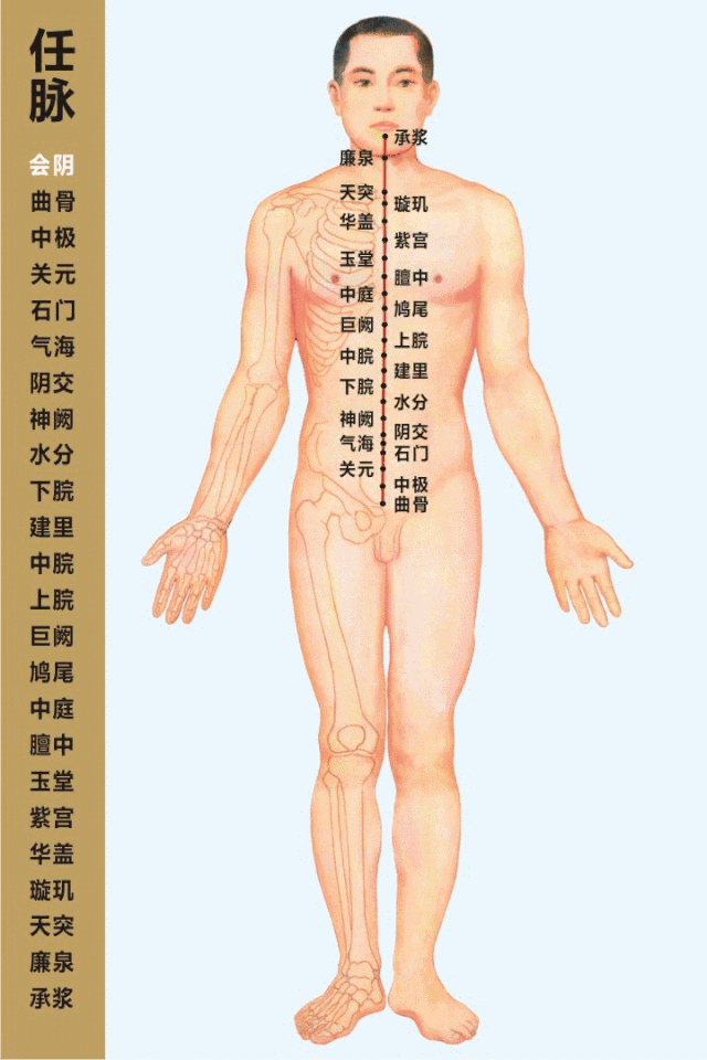 Summary of 90 Acupuncture Points and Their Therapeutic Functions with Illustrations! (Recommended for Collection)