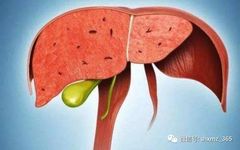 The Dangers of Liver Qi Stagnation: A Self-Assessment Guide