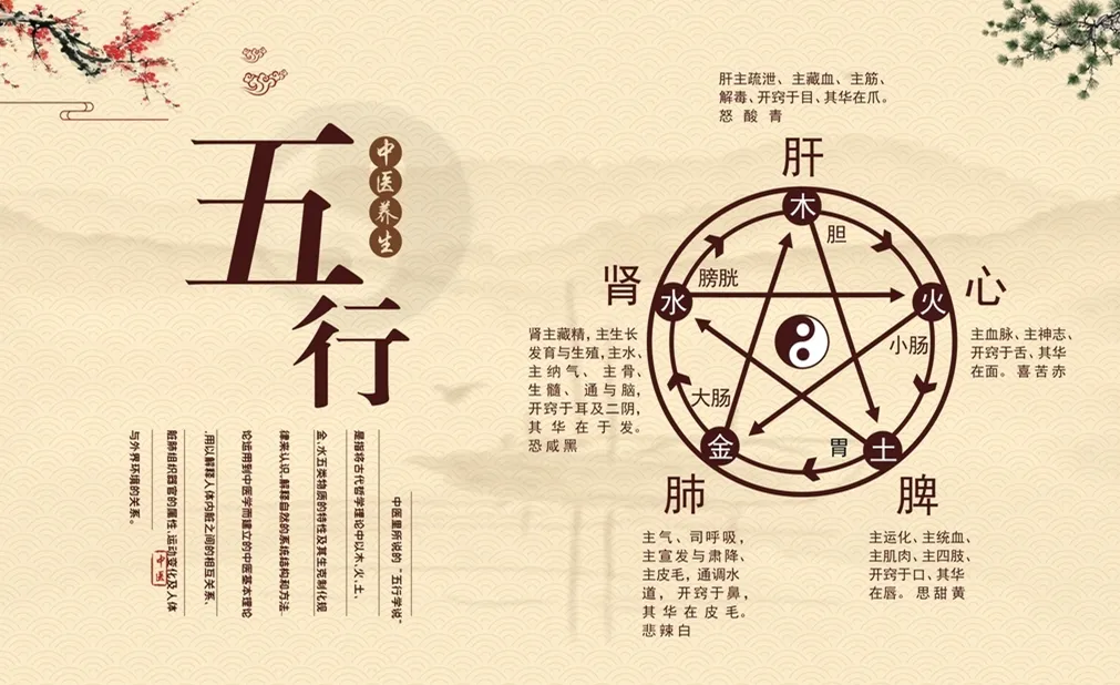What is Health Preservation in Traditional Chinese Medicine?