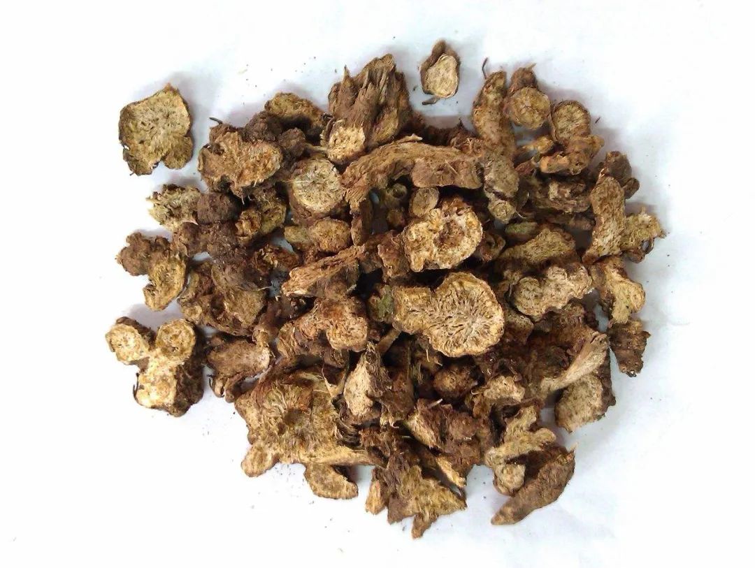 Understanding the Medicinal Properties of Cang Zhu (Atractylodes)