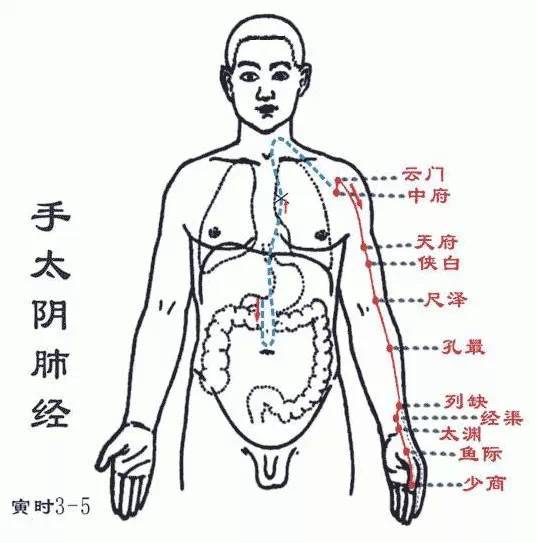 Essentials: The Twelve Meridians and Their Source, Luo, and Transport Points (Summary with Images)