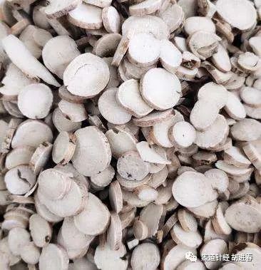 Daily Study of a Chinese Herb: Bai Shao (White Peony)