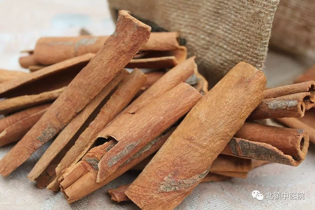 Cinnamon Bark (Rou Gui) - A Comprehensive Overview