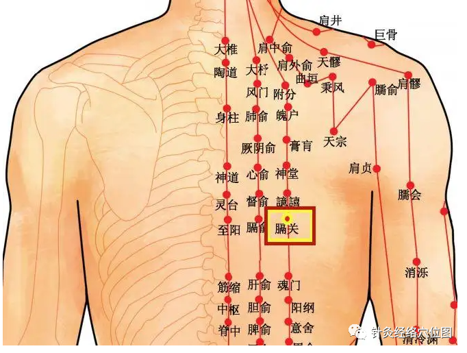 Mastering the Use of the 'Fifteen Luo Points' for Swift Therapeutic Effects