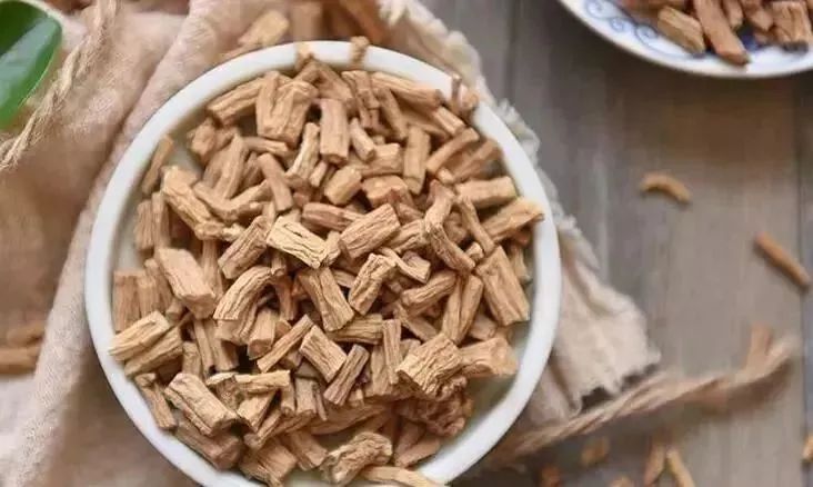 The Effects and Functions of Codonopsis (Dang Shen)