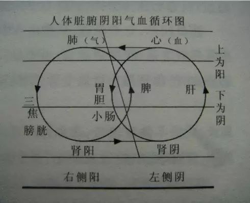 Balancing Yin and Yang: Four Key Areas to Tap for Smooth Qi and Blood Flow!