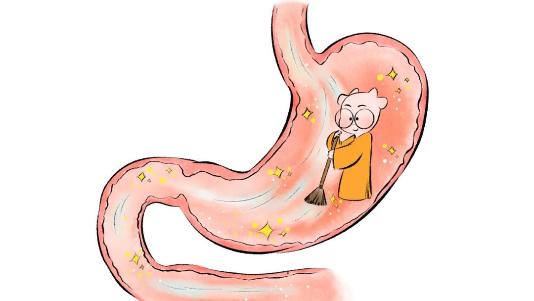 For Those with Phlegm-Dampness and Qi Deficiency: The Most Important Step in Nourishing Qi and Blood