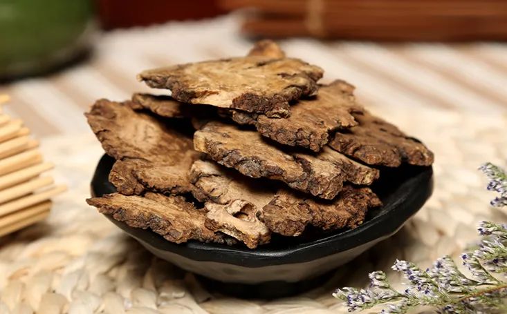 The Pharmacist Speaks: Chuanxiong - Invigorating Blood and Qi, Dispelling Wind and Alleviating Pain