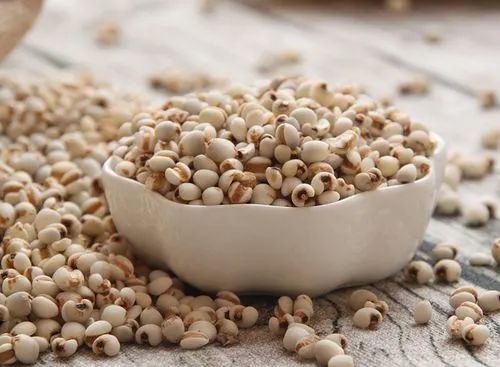 Traditional Chinese Medicine Knowledge: Dual Use of Food and Medicine | Strengthening the Spleen, Promoting Water Metabolism, and Clearing Heat and Dampness! A Summer Essential