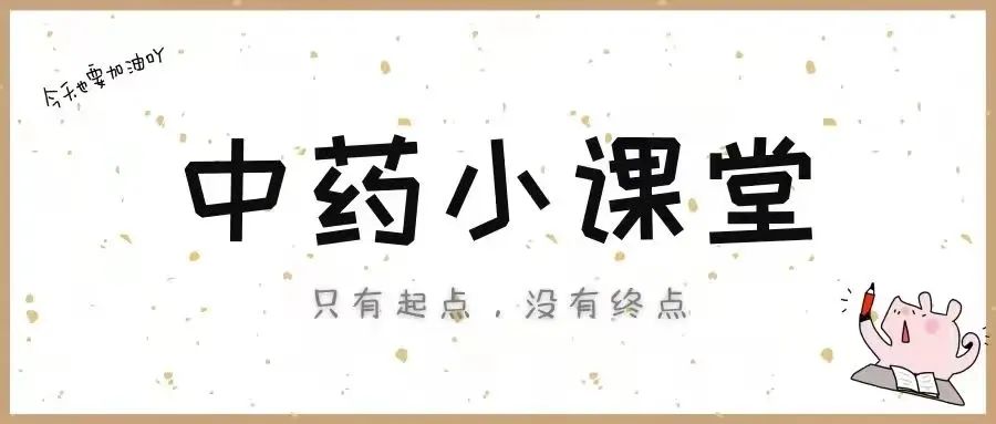 The Multifunctional Uses of Lianqiao: Qingqiao and Laoqiao