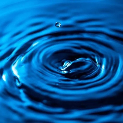 Distinguishing Between Wind-Cold and Wind-Heat Cold Granules