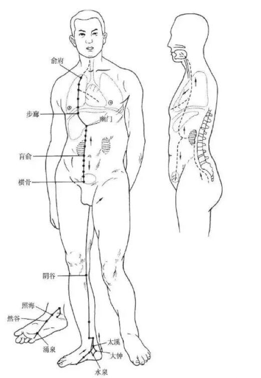 The Pathways and Interconnections of the Twelve Meridians