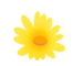 Health Tips for May: Summer Wellness and Disease Prevention