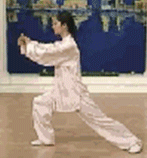 Comprehensive Guide to Tai Chi Movements: Exercise at Home!