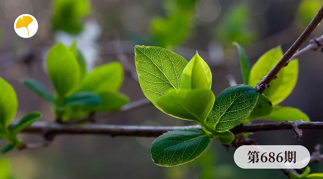Xinglin Morning Report | Sore Throat, Fever, Cough? Wind-Heat Cold is Coming! A Classic Formula Can Solve It