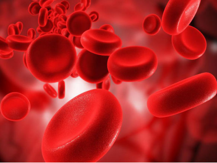 Anemia: What to Eat for Blood Supplementation? Many People Are Eating Wrong!