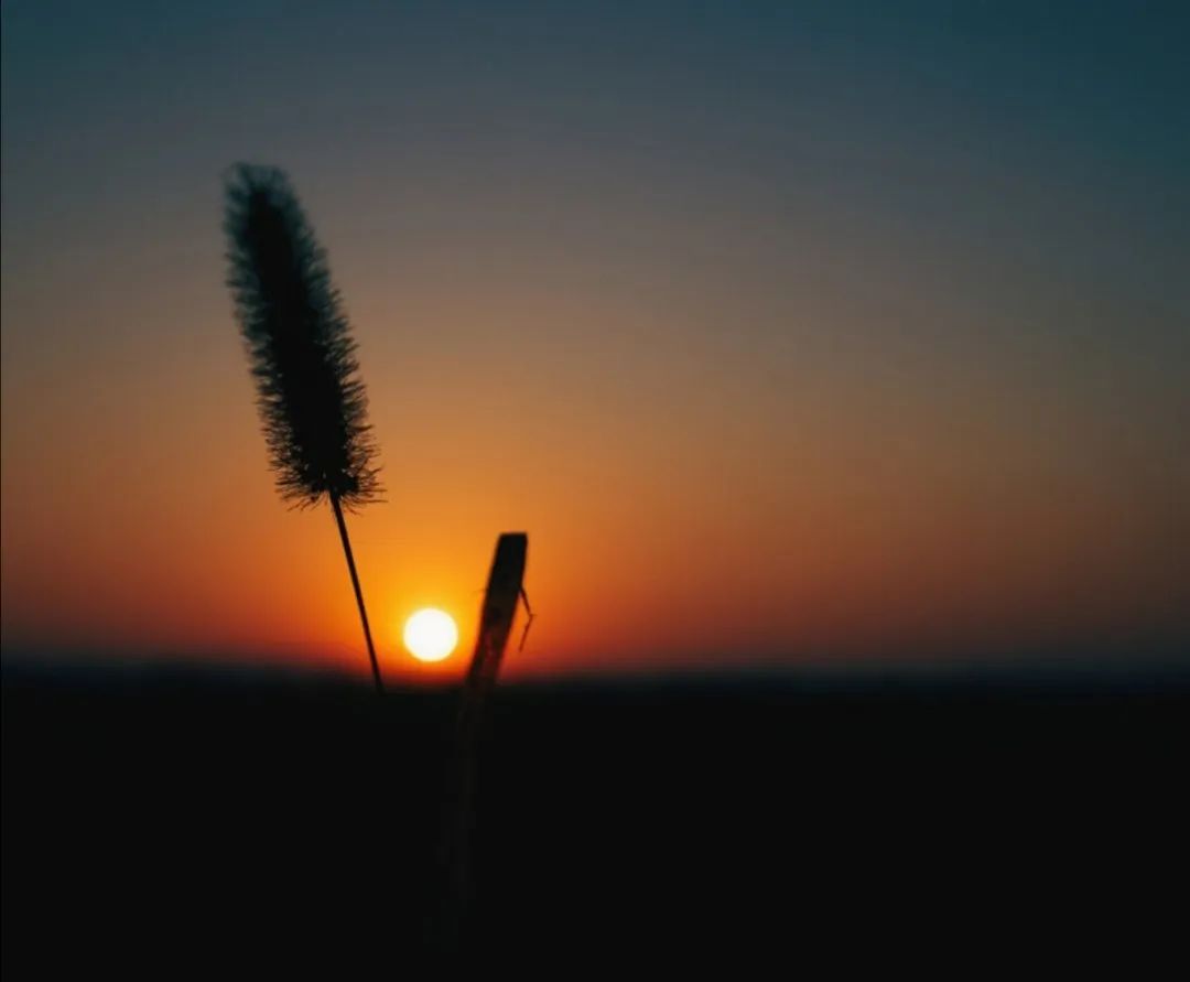 Characteristics of Diseases Caused by the Six Excesses