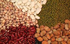 "The Five Grains Nourish the Five Organs": Eating the Five Grains for Optimal Health!