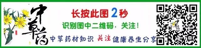 Traditional Chinese Medicine: Coix Seed (Yi Yi Ren)