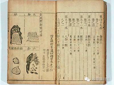 Reflections on the Compendium of Materia Medica: The World is Medicine