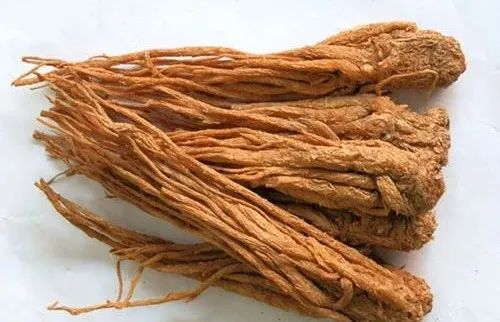 Three Remarkable Uses of Angelica Sinensis (Dang Gui)
