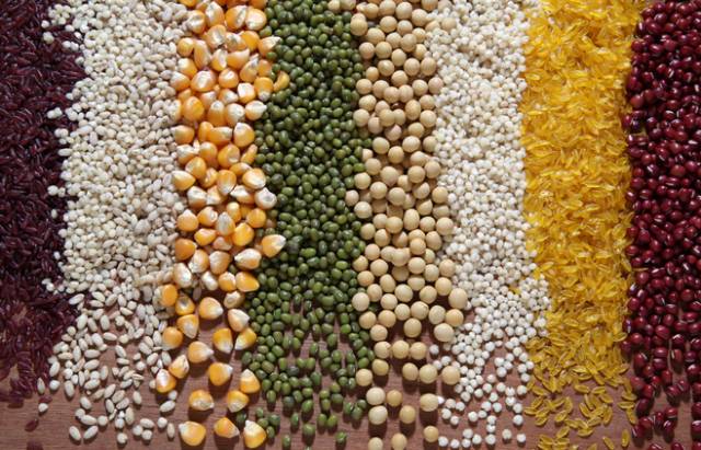 Secrets of Grain-Based Health: Eating for Better Wellness