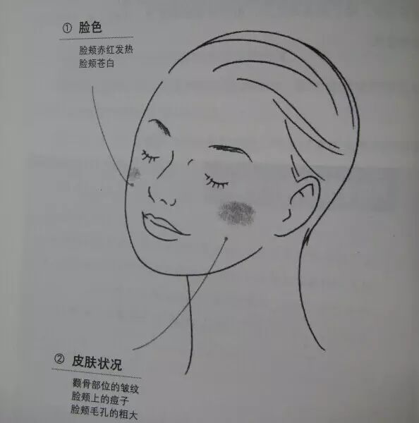 Essential Guide to TCM Observation Diagnosis: Easy to Understand (Recommended for Collection)